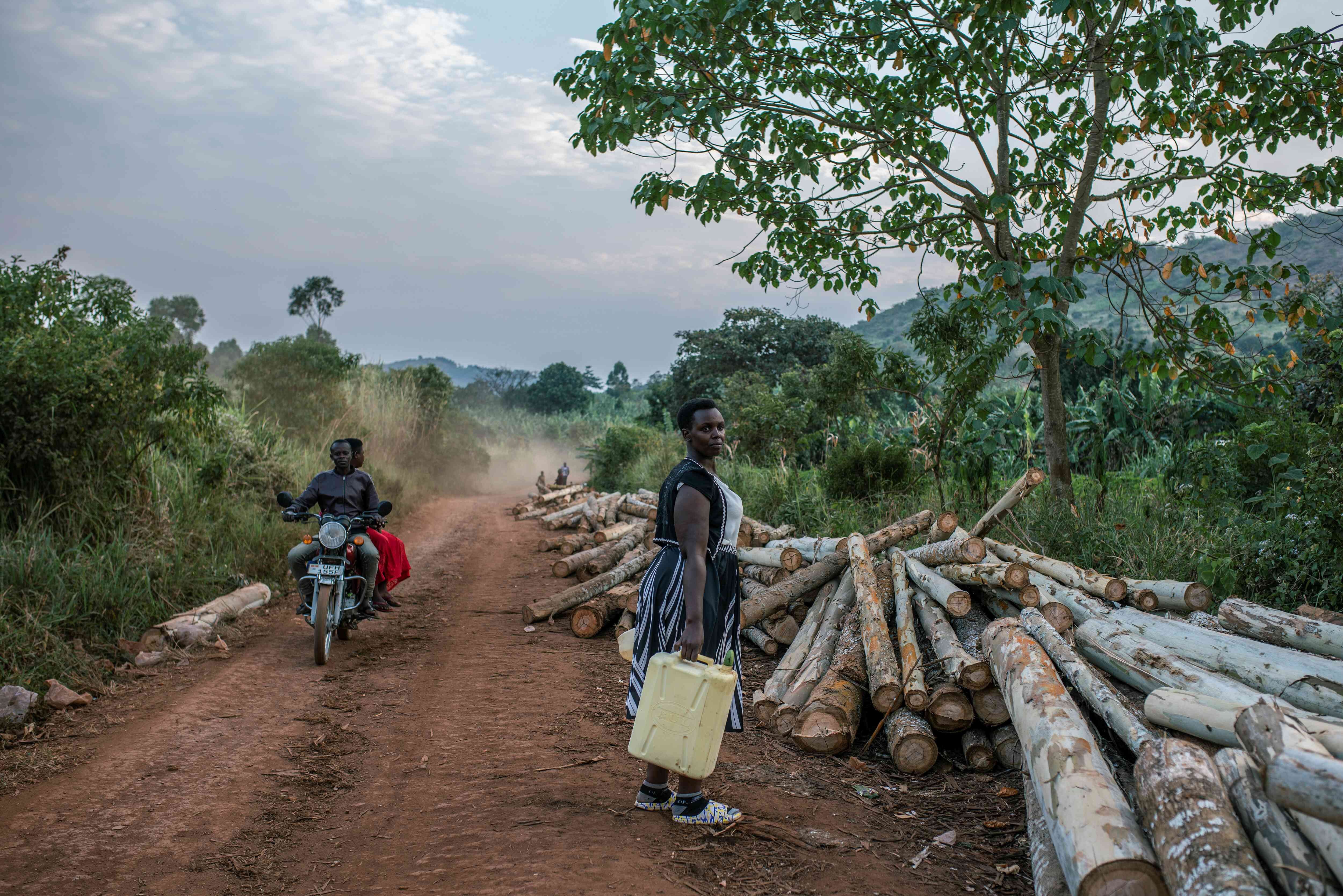 A woman stands on a dirt road next to a pile of cut-down trees