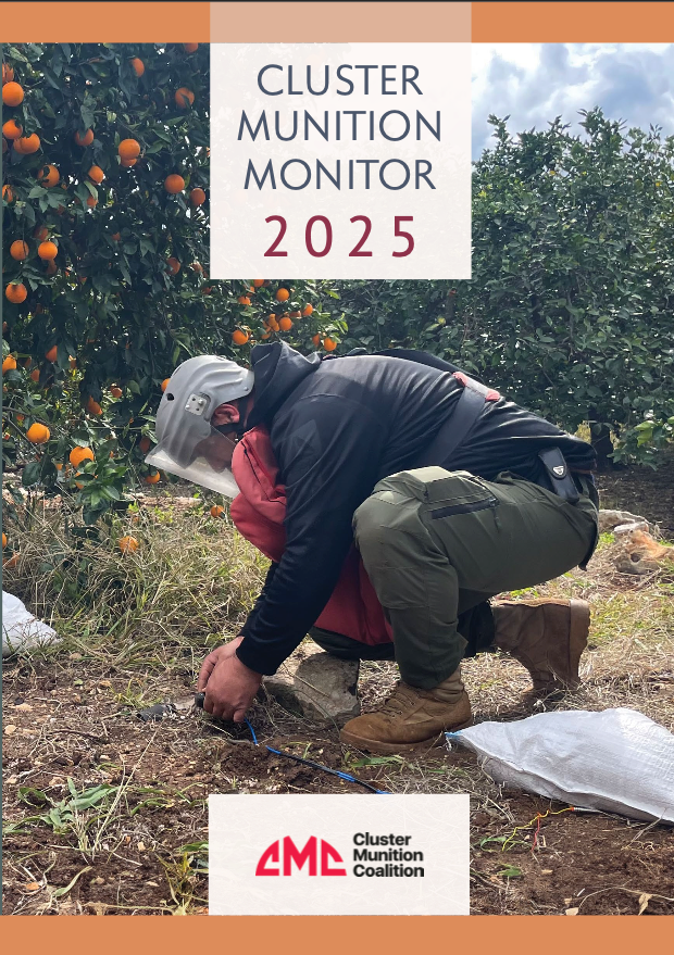 Deminer kneels in front of an orange tree. 