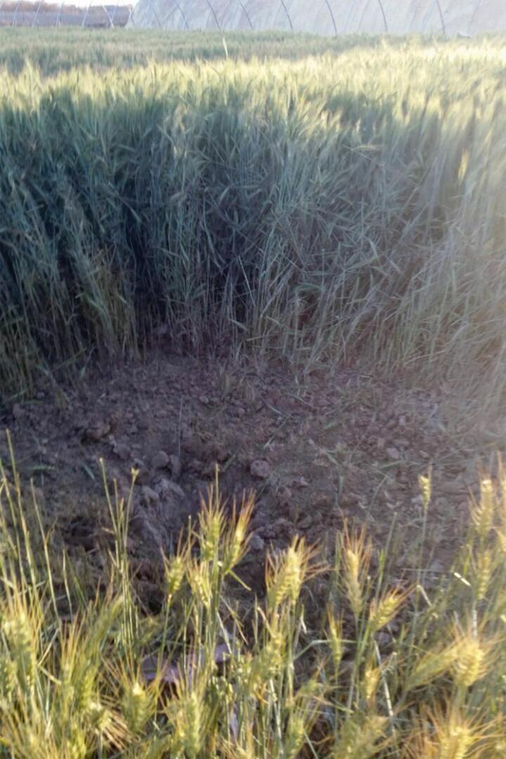 الحفرة التي خلفها هجوم 22 فبراير/شباط في قحزة بمحافظة صعدة تدل على استخدام ذخائر عنقودية. 