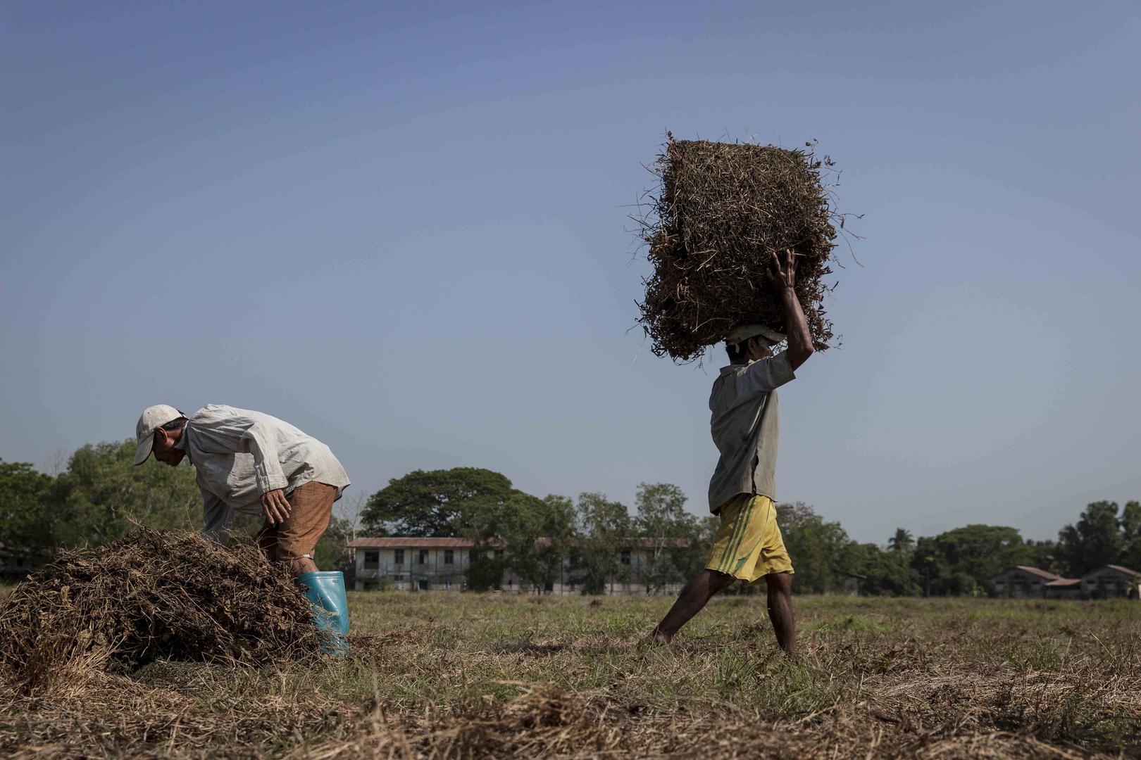 201807asia_burma_myanmarland5