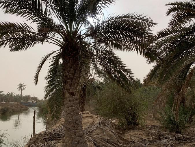 201907iraq_water_photo1