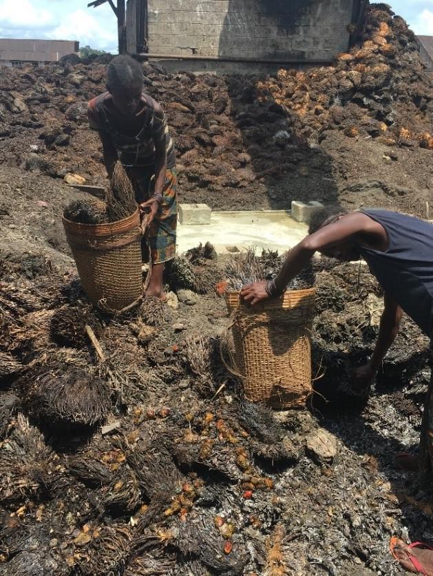 201911ENV_DRC_reportphotos