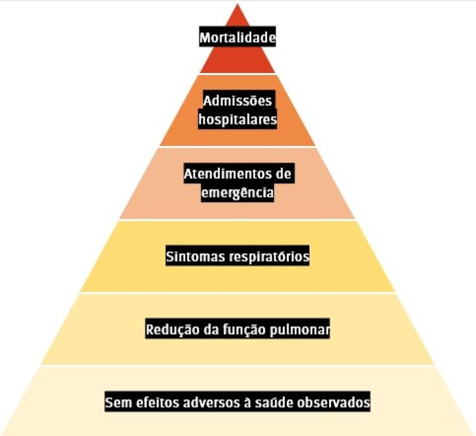 202008americas_brazil_amazon_graph_2_pt