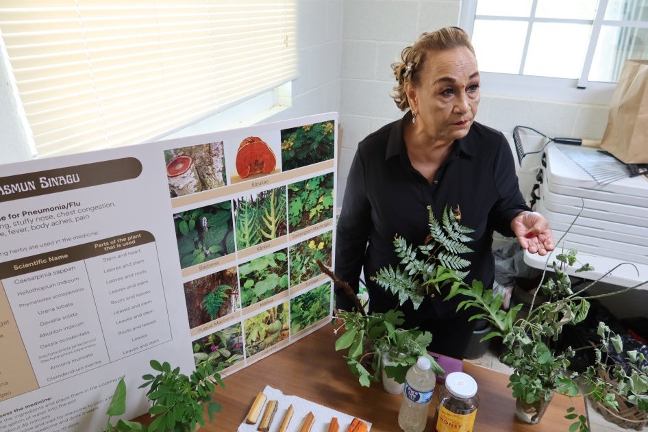 Yo’åmte Auntie Lou Manglona created a program for Indigenous medicine in conjunction with professors and academics at the University of Guam, May 2023. 