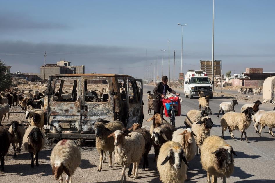 MENA-Iraq-Mosul-nove-2016-villagers-shephards-beaten