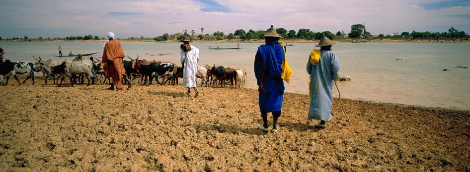Peuhl animal herders waiting to cross the Bani River, near Sofara, central Mali.  On August 7, 2018, Dozo militia allegedly detained 11 Peuhl traders as they waited to cross the river to go to Sofara market, and later killed them.  