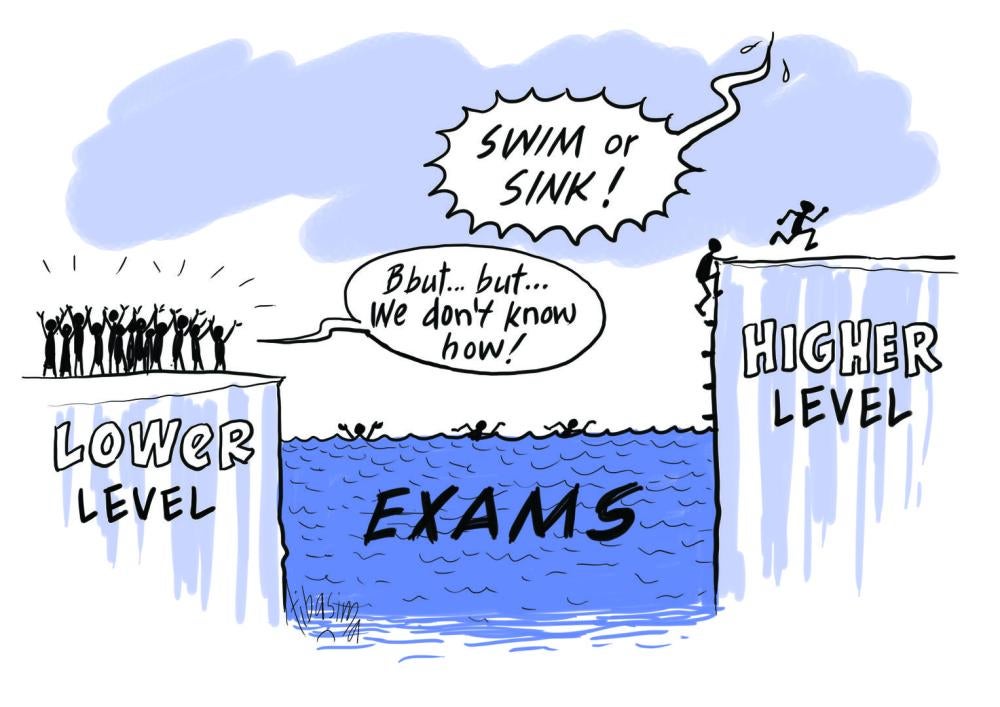 Cartoon for Tanzania Education Report 