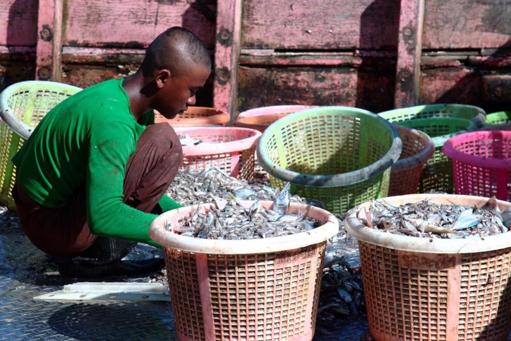 A young Burmese fisher sorts trash fish onboard a trawler in Laem Sing, Chantaburi, November 11, 2016. 