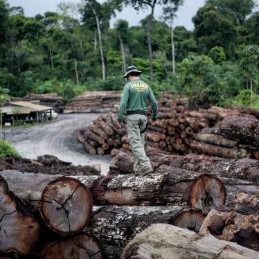 A federal agent walks on top of timber illegally harvested and extracted from Pirititi Indigenous Territory in Roraima State, Brazil, on May 7, 2018. The Brazilian Institute of the Environment and Renewable Natural Resources (IBAMA), Brazil’s main environmental law enforcement agency, apprehended 7,387 logs in that operation.