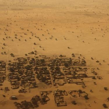 Aerial view of Diffa, southeastern Niger