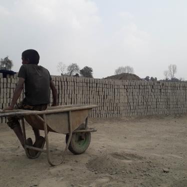 A boy sits atop a wheel barrow