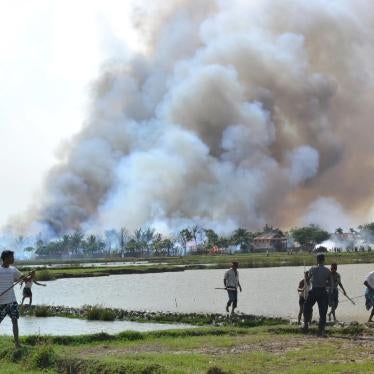 Ethnic Rakhine with weapons walk away from a village in flames while a soldier stands by, June 2012.