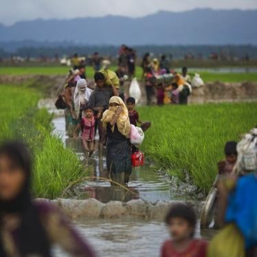Rohingya walk through rice fields after fleeing across the border from Myanmar to Bangladesh near Teknaf, September 1, 2017.