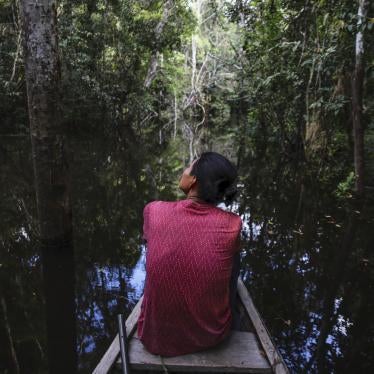 The Amazon River in the Amazon rainforest, in Leticia, Colombia.