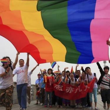 Activists raise a rainbow flag as they march during a demonstration to mark the International Day Against Homophobia and Transphobia in Changsha, Hunan province May 17, 2013.  