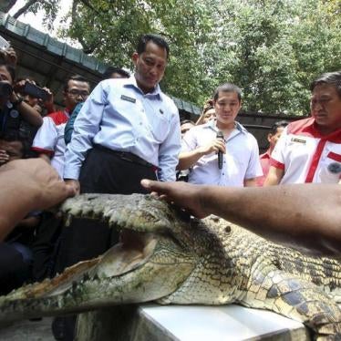 The head of the Indonesia's National Narcotics Board Budi Waseso (L) looks at a crocodile during a visit to a crocodile farm in Medan, North Sumatra, on November 11, 2015.