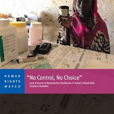 Cover of the Sudan Report 