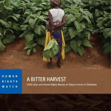 Cover of the Zimbabwe report in English