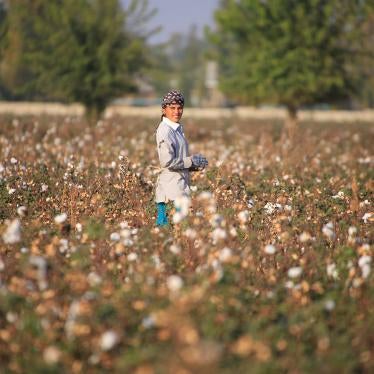 An Uzbekistan cotton grower works in a cotton plantation outside Tashkent, on October 24, 2019. 